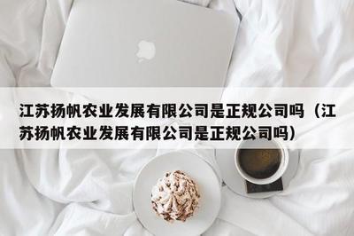 江蘇揚帆服飾 深耕針紡織品領域的專業供應商